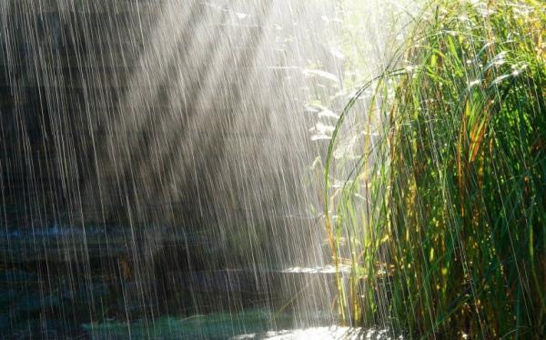 2022年雨水节气祝福语话 大年初七正值雨水祝福